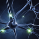 Illustration for article titled The 4 Biggest Myths About the Human Brain